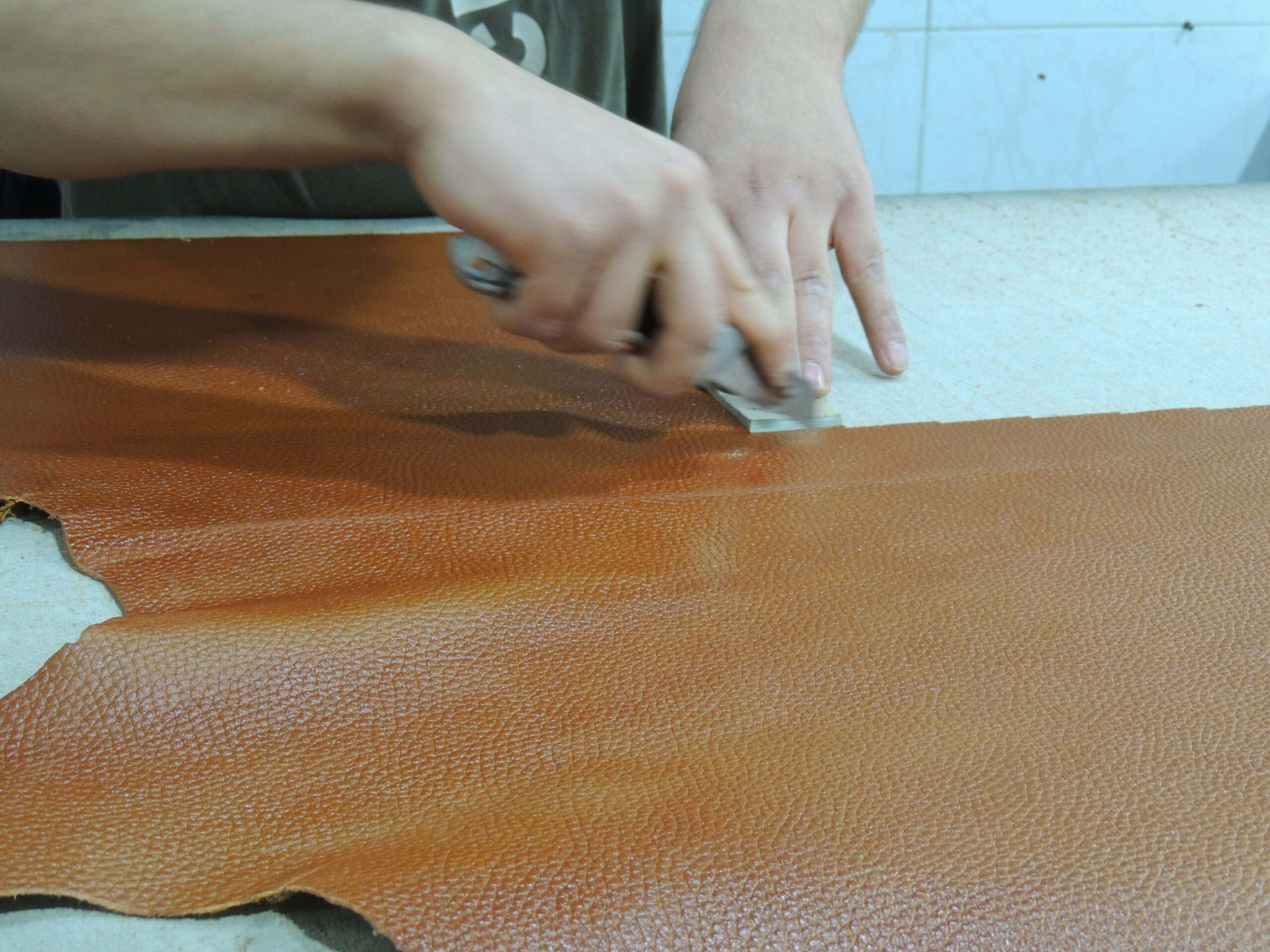 درباره ما 8 DSCN4730 1 scaled